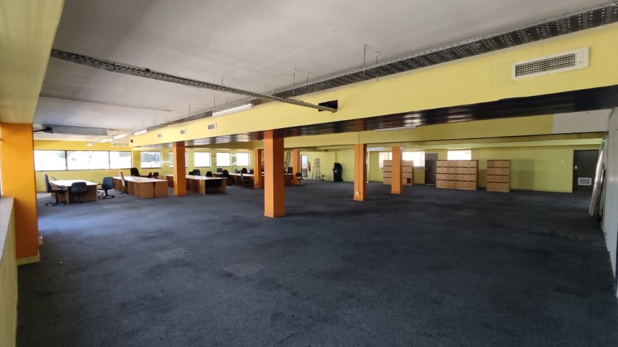 To Let commercial Property for Rent in Rondebosch Western Cape